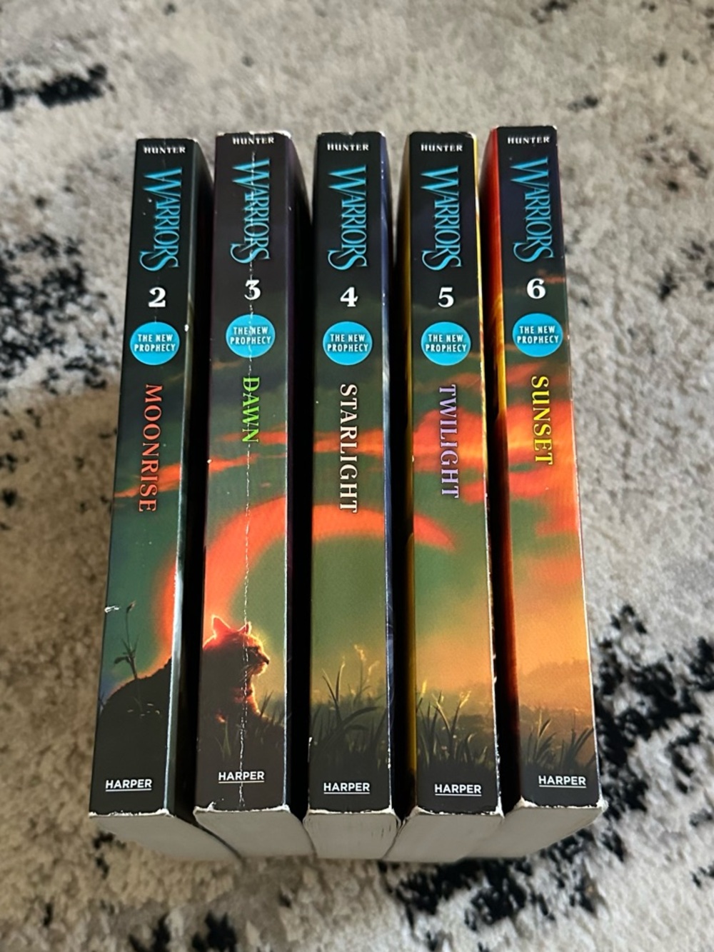 Warriors: The New Prophecy Series (Books 2–6)  Set by Erin Hunter warrior cats